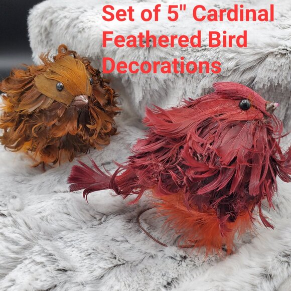Set of 4 Feathery Bird Holiday Ornament Decorations - Picture 4 of 6